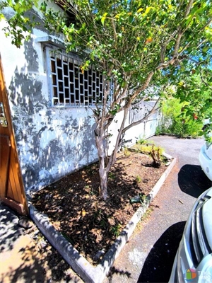 maison à la vente -   97419  POSSESSION, surface 70 m2 vente maison - UBI466767014